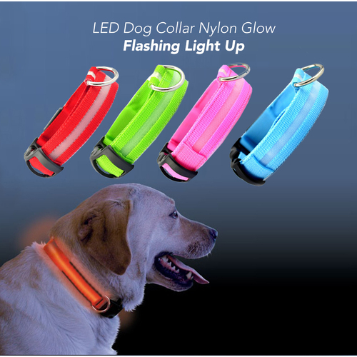 Illuminate Your Pet's Adventures: Rechargeable LED Dog Collar with Glow Flashing Lights