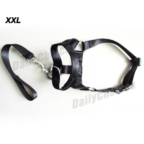 AU Dogalter Dog Halter Halti Training Head Collar Gentle Leader Harness Nylon [Size: XXL: 47-62cm]