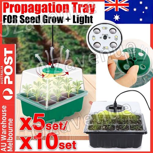 Seed Tray Propagation Trays Plant Seeds Grow Box Nursery Seedling Starter Tools